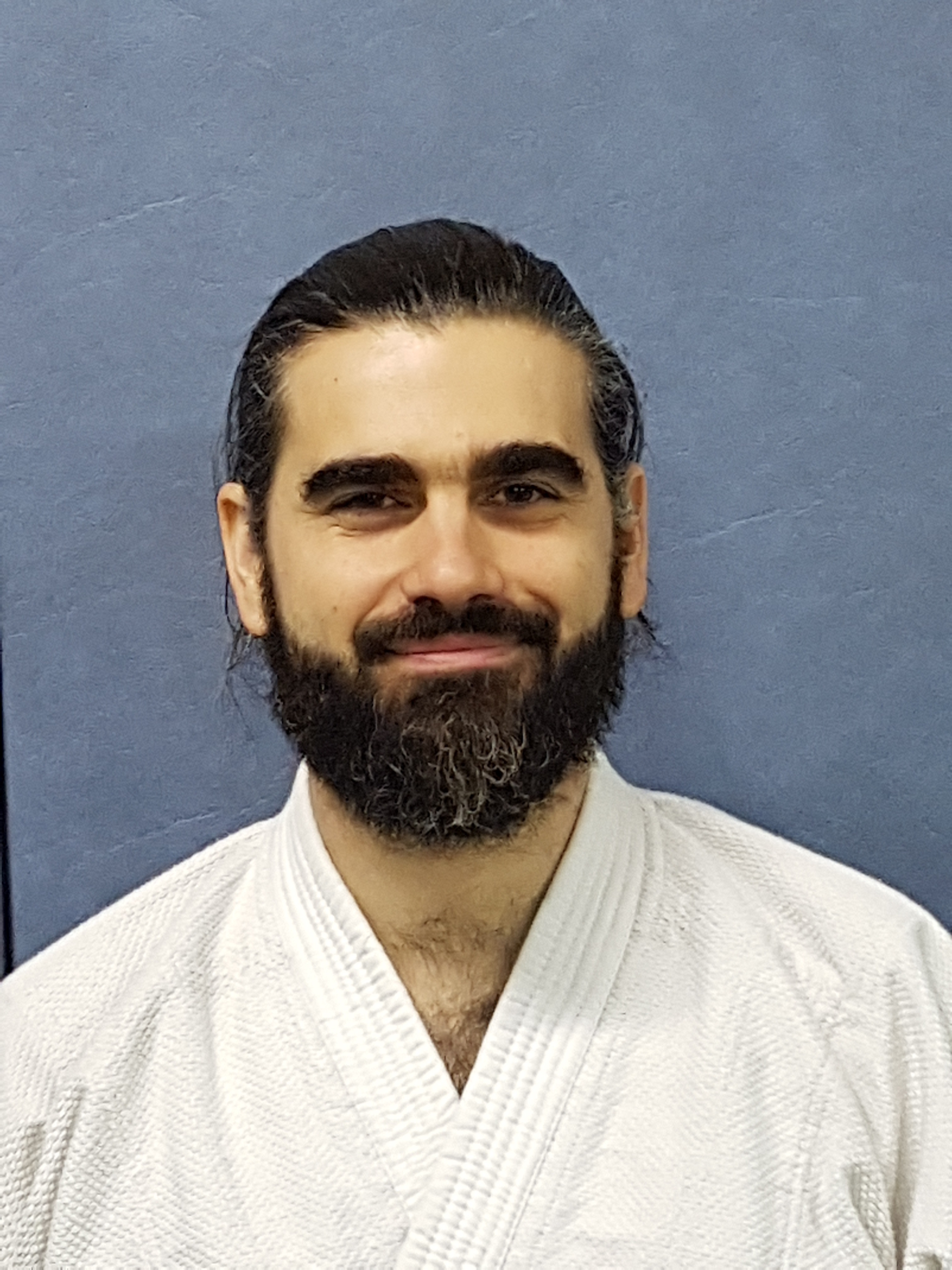 Professeur aikido dojo Toulouse et Castanet-Tolosan 31